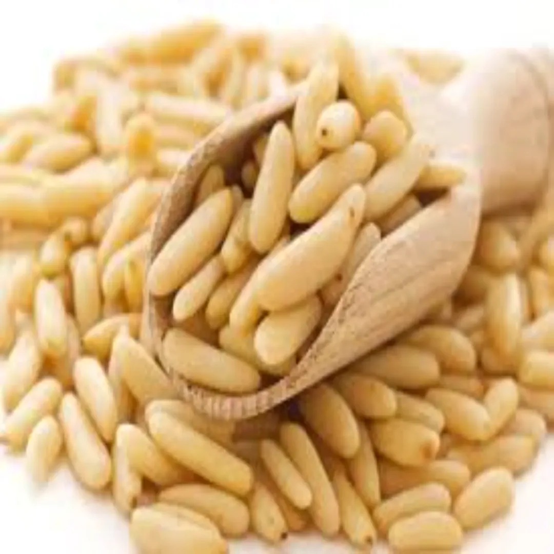 pine nut ws